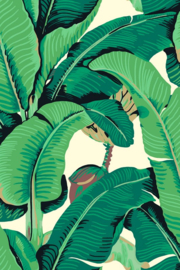 Hookedonwalls Scalamandré JV26010 Hinson Palm (met gratis lijm!)