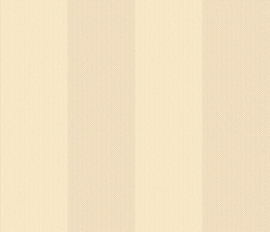 Hookedonwalls Stripes & Stripes 90750 Arrow (met gratis lijm!)