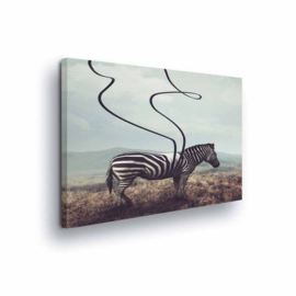 Canvasdoek Zebra