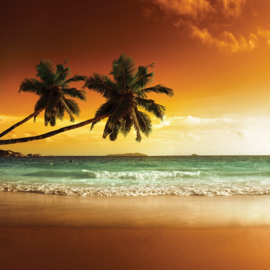 Fotobehang Tropisch strand bij zonsondergang