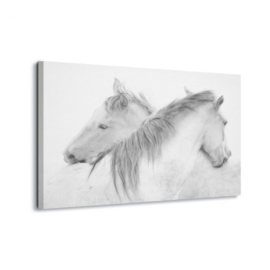 Canvasdoek Paarden