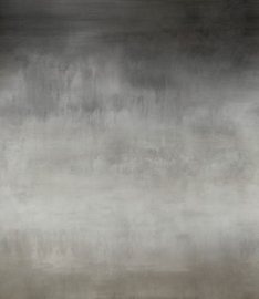 Arte Light At Night LAN292 Evening Glow 270cm breed x 300cm hoog (met gratis lijm!)