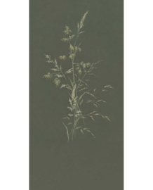 Eijffinger Waterfront 300905 Wallpower Aqua Twigs Celadon