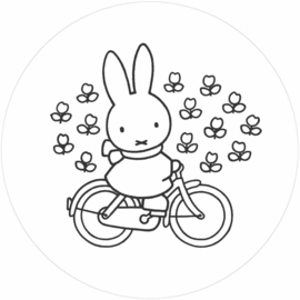 Kek Wonderwalls behangcirkel Miffy riding bike CK-030
