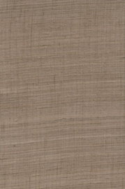 Arte Wild Silk Ghicha 86545 Taupe