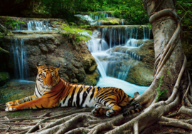 Fotobehang Tijger bij waterval in bos