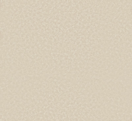 Arte Mirari MIR803 Zarha (met gratis lijm!)
