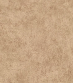 Hookedonwalls  Livingstone Sandstone 53733 (met gratis lijm!)