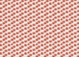 Creative Lab Miami Orange 389,6cm x 280cm hoog (met gratis lijm!)