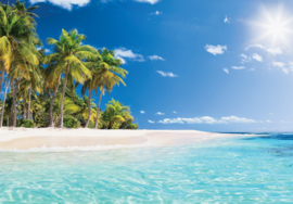 Fotobehang Zonnig strand met palmbomen