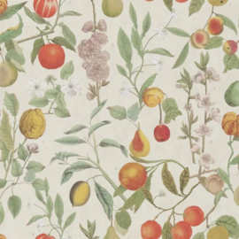 John Derian for Designers Guild PJD6018/01 Orchards Fruits