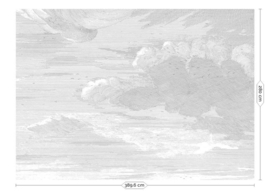Kek Book V wp-650 Engraved Clouds 389,6cm breed x 280cm hoog (met gratis lijm!)