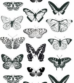 Behang Onszelf Smile - OZ 3261 vlinders