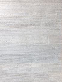 Arte All Naturals Camago 14002A Bone (met gratis lijm!)