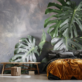 Fotobehang Monstera bladeren