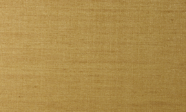 Arte Contract 67578 Lazur (met gratis lijm!)