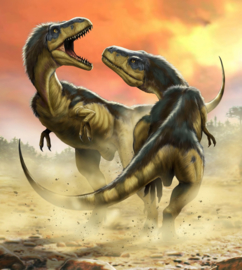 Komar Into Adventure IANGX5-006 National Geographic Albertosauruses Fight 250cm x 280cm hoog