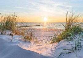 Fotobehang Duinen landschap strand