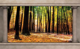 Fotobehang Uitzicht op het Bos