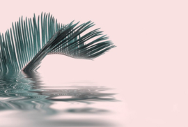 Fotowand Palm leaf water by Andrea Haase afm. 400cm x 270cm hoog
