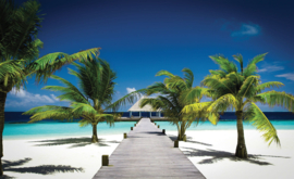 Fotobehang Strand met palmboom en een pier