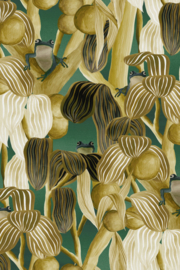 Arte Décor Les Grenouilles de Chavroches 97510 Camouflage