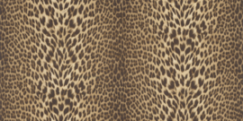 Roberto Cavalli Wallpaper 21041 (met gratis lijm!)