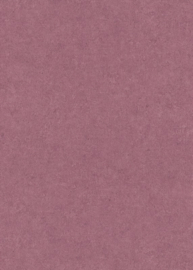 Erismann Gentle 10430-06