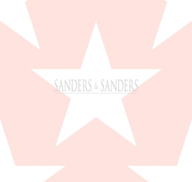 Behang Sanders & Sanders Trends&More 935259 sterren
