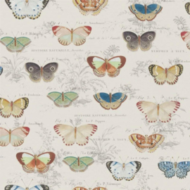 John Derian for Designers Guild PJD6017/01 Butterfly Studies