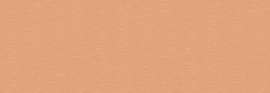 Arte Contract Sand Waves 67765 Peach (met gratis lijm!)