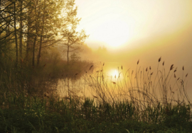 Fotobehang Mistig meer bij zonsopgang