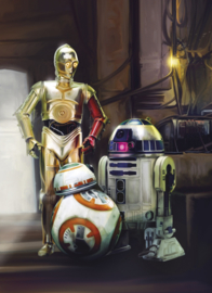 Komar fotobehang 4-447 Star Wars Three Droids