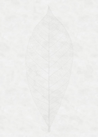 Komar Raw R2-012 Decent Leaf