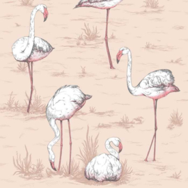 Cole & Son Icons 112/11039 Flamingos (met gratis lijm!)