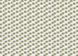 Creative Lab Miami Green 389,6cm x 280cm hoog (met gratis lijm!)