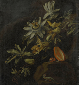 Dutch Painted Memories 8007 Passion flowers Elias Van Den Broeck