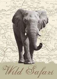 Fotobehang Idealdecor 00431 Wild Safari Olifant