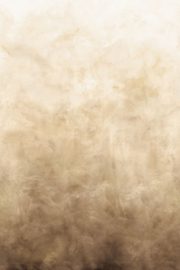Arte Ombré Flux 32383 Sahara Mist 204cm breed x 320cm hoog (met gratis lijm!)