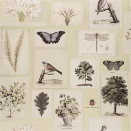 John Derian for Designers Guild PJD6001/03 Flora and Fauna
