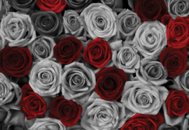 Fotobehang Red Roses Black And White