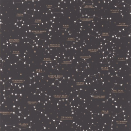 Ralph Lauren Coastal Papers PRL5041/02 Starry Sky