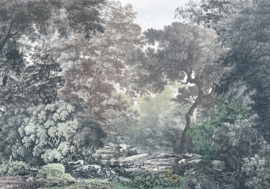 Komar Raw R4-060 Fairytale Forest
