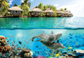 Fotobehang Tropische lagune met dolfijnen