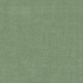 Dutch First Class Grafico Tall 16026 (met gratis lijm!)