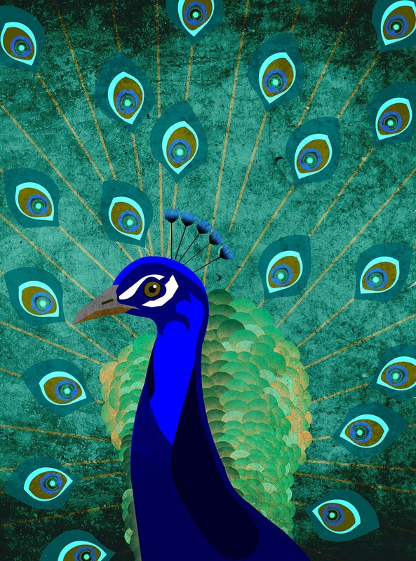 Fotowand Peacock by Sabrina Ziegenhorn afm. 200cm x 270cm hoog