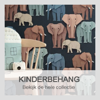 kinderbehang