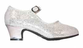 Verkleed Schoenen Zilver Glitter + gratis kadootje