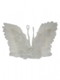 Engel Vleugels