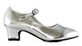 Prinsessen Schoenen Zilver